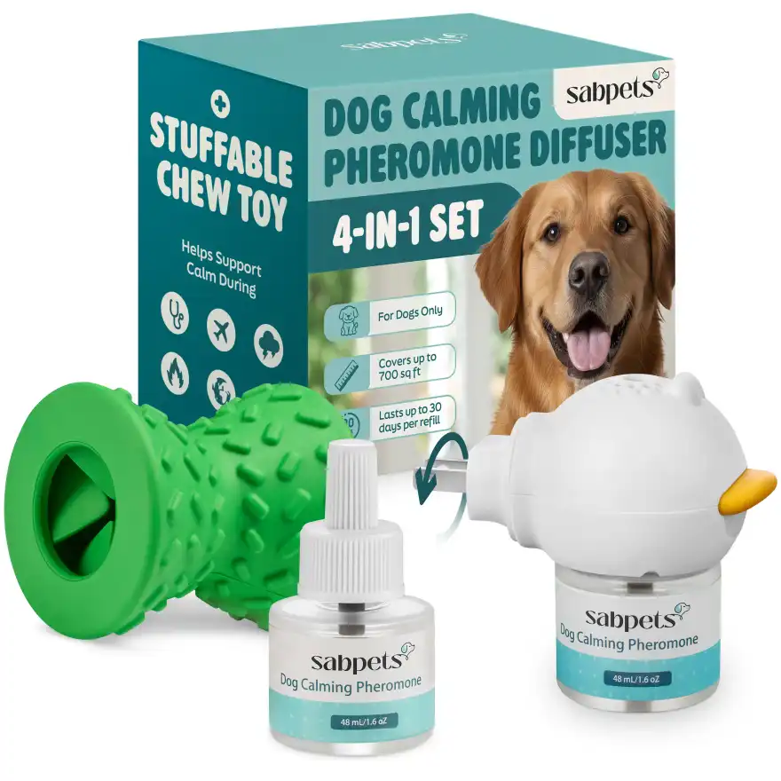 Dog resting calmly next to a plug-in calming diffuser