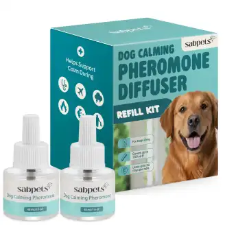 essential oil diffuser for dogs